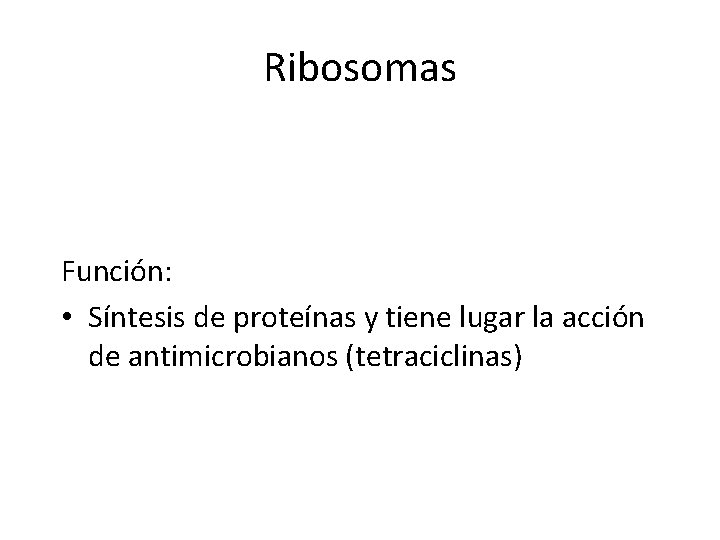 Ribosomas Función: • Síntesis de proteínas y tiene lugar la acción de antimicrobianos (tetraciclinas)