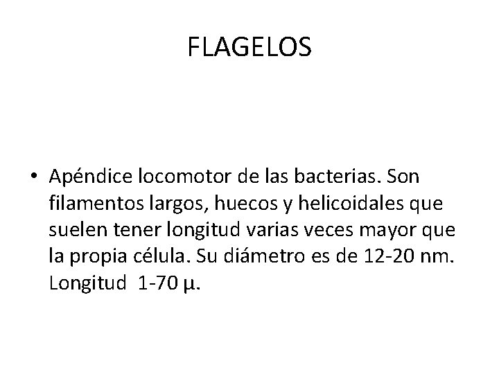 FLAGELOS • Apéndice locomotor de las bacterias. Son filamentos largos, huecos y helicoidales que