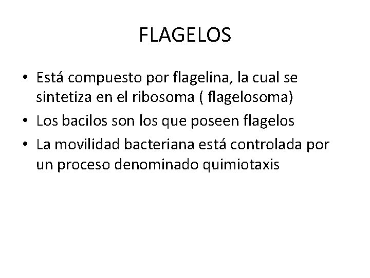 FLAGELOS • Está compuesto por flagelina, la cual se sintetiza en el ribosoma (