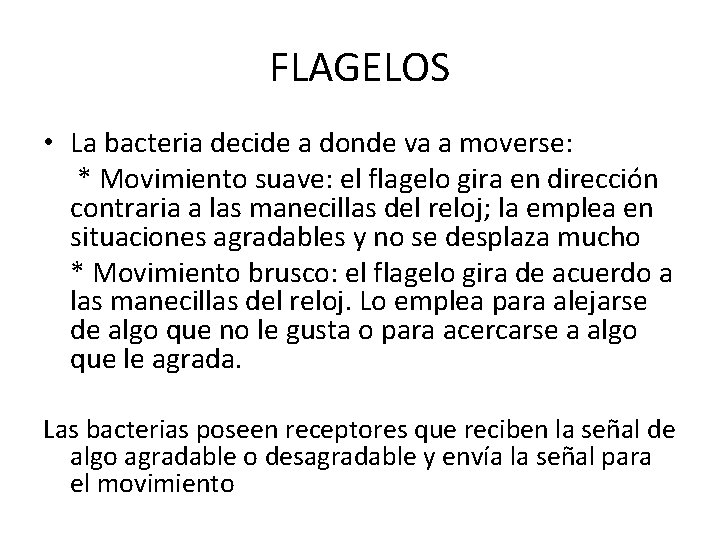 FLAGELOS • La bacteria decide a donde va a moverse: * Movimiento suave: el