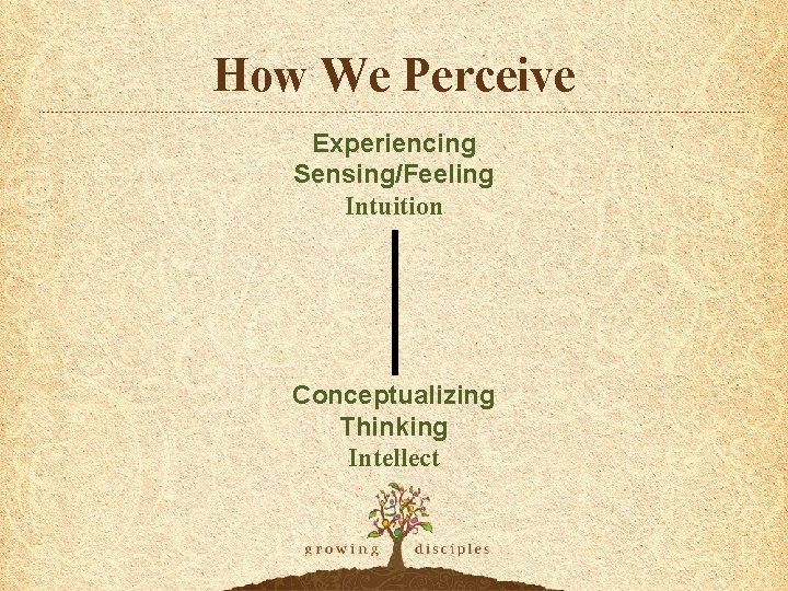 How We Perceive Experiencing Sensing/Feeling Intuition Conceptualizing Thinking Intellect 