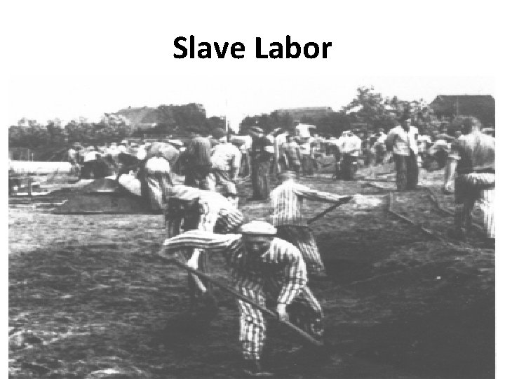 Slave Labor 