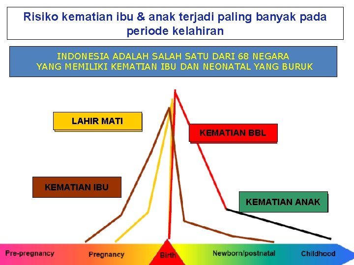 Risiko kematian ibu & anak terjadi paling banyak pada periode kelahiran INDONESIA ADALAH SATU