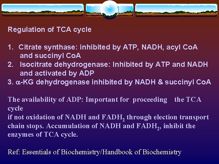 Regulation of TCA cycle 1. Citrate synthase: inhibited by ATP, NADH, acyl Co. A