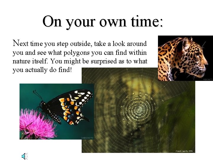 On your own time: Next time you step outside, take a look around you