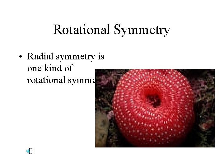 Rotational Symmetry • Radial symmetry is one kind of rotational symmetry. 