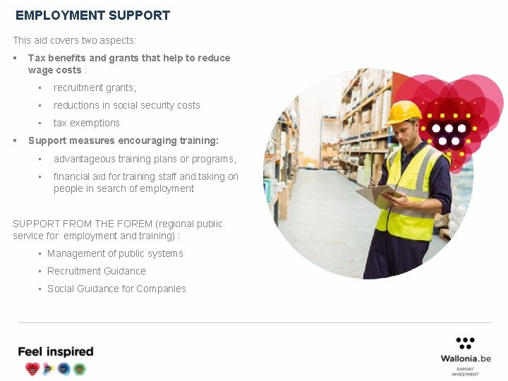 EMPLOYMENT SUPPORT This aid covers two aspects: § § Tax benefits and grants that