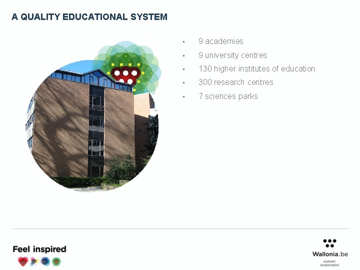 A QUALITY EDUCATIONAL SYSTEM • 9 academies • 9 university centres • 130 higher