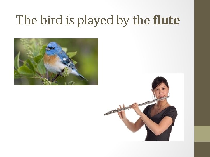 The bird is played by the flute 