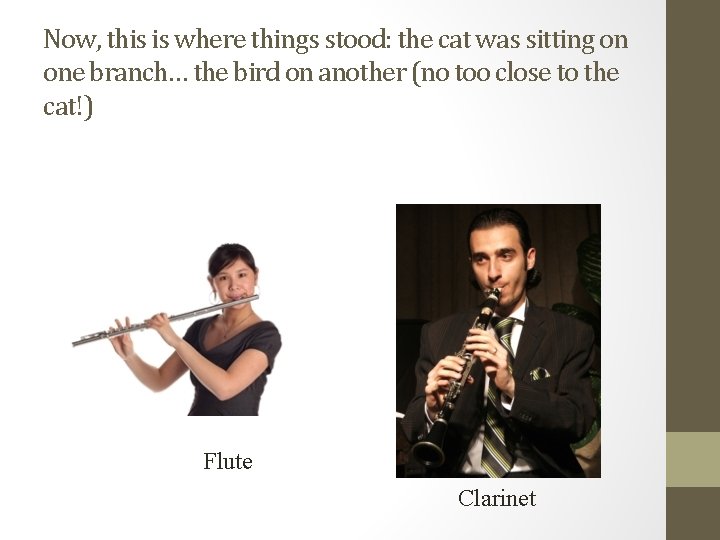 Now, this is where things stood: the cat was sitting on one branch… the