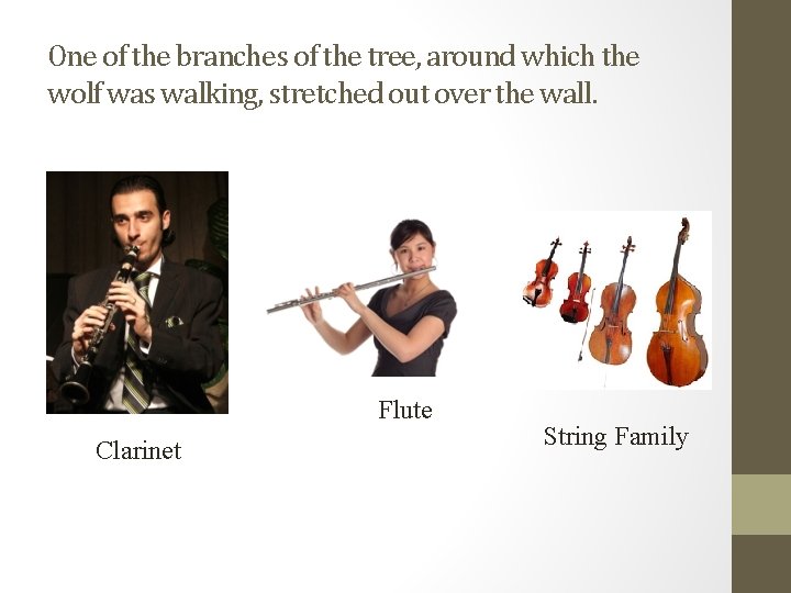 One of the branches of the tree, around which the wolf was walking, stretched