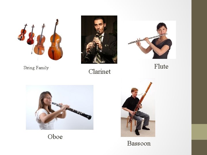 String Family Oboe Flute Clarinet Bassoon 