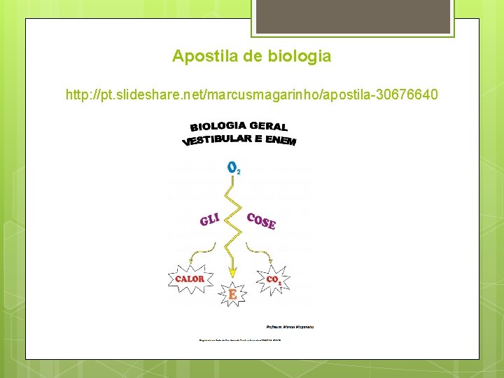 Apostila de biologia http: //pt. slideshare. net/marcusmagarinho/apostila-30676640 