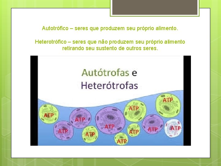 Autotrófico – seres que produzem seu próprio alimento. Heterotrófico – seres que não produzem