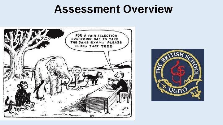 Assessment Overview 