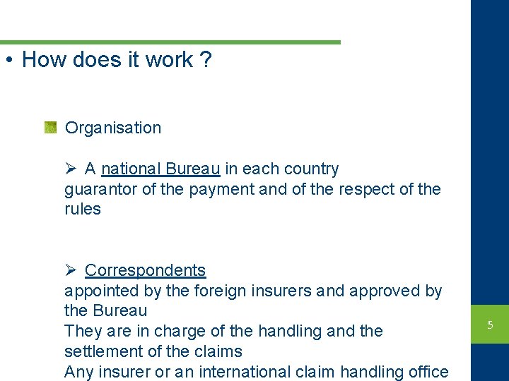 • How does it work ? Organisation Ø A national Bureau in each