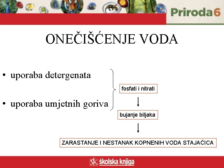 ONEČIŠĆENJE VODA • uporaba detergenata fosfati i nitrati • uporaba umjetnih goriva bujanje biljaka