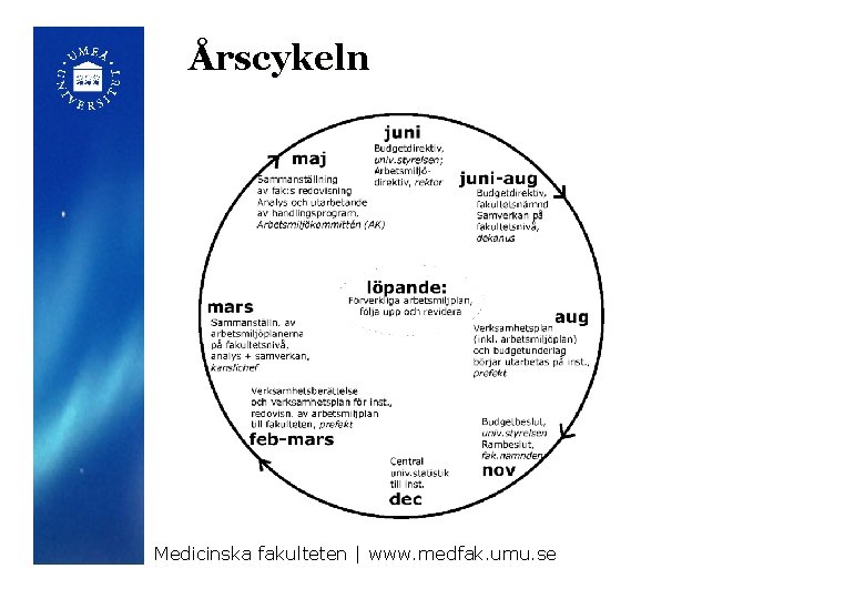 Årscykeln Medicinska fakulteten | www. medfak. umu. se 