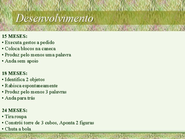 Desenvolvimento 15 MESES: • Executa gestos a pedido • Coloca blocos na caneca •