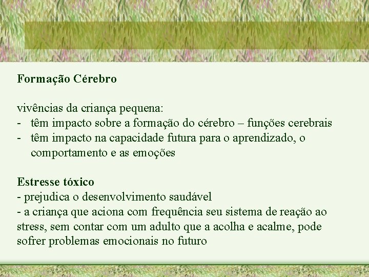 Formação Cérebro vivências da criança pequena: - têm impacto sobre a formação do cérebro