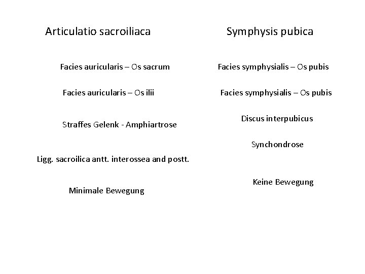 Articulatio sacroiliaca Facies auricularis – Os sacrum Facies auricularis – Os ilii Straffes Gelenk