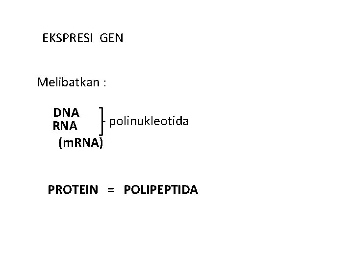 EKSPRESI GEN Melibatkan : DNA polinukleotida RNA (m. RNA) PROTEIN = POLIPEPTIDA 