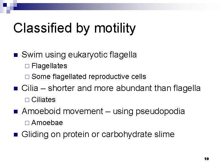 Classified by motility n Swim using eukaryotic flagella ¨ Flagellates ¨ Some n flagellated