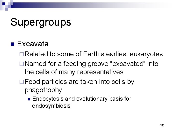 Supergroups n Excavata ¨ Related to some of Earth’s earliest eukaryotes ¨ Named for