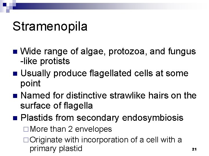 Stramenopila Wide range of algae, protozoa, and fungus -like protists n Usually produce flagellated