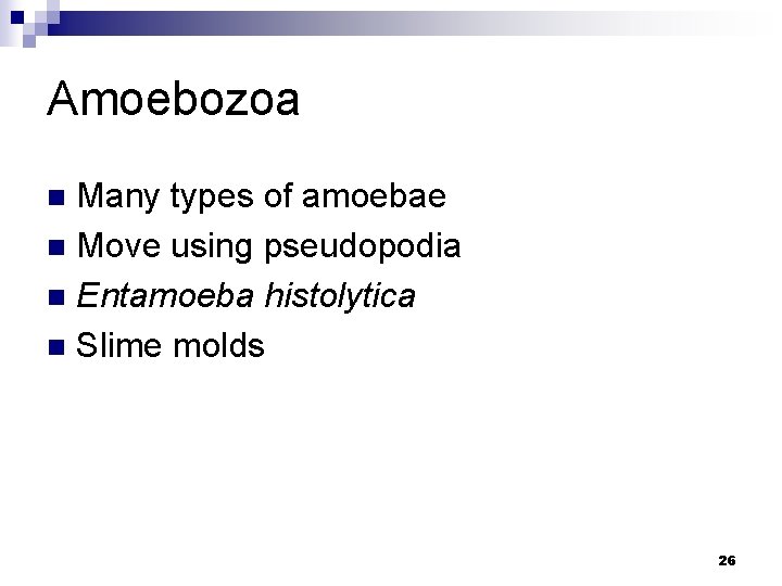 Amoebozoa Many types of amoebae n Move using pseudopodia n Entamoeba histolytica n Slime