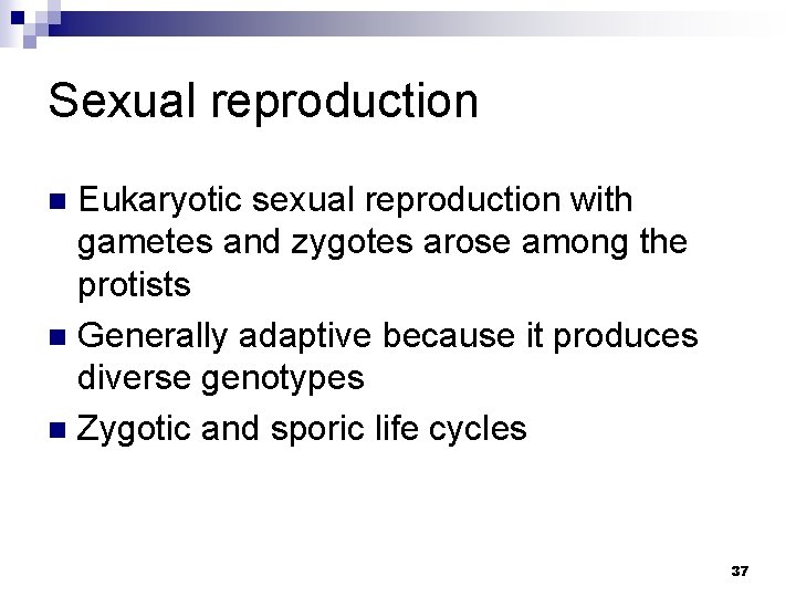 Sexual reproduction Eukaryotic sexual reproduction with gametes and zygotes arose among the protists n