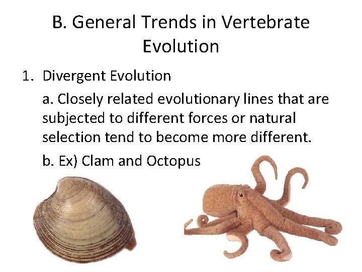 B. General Trends in Vertebrate Evolution 1. Divergent Evolution a. Closely related evolutionary lines