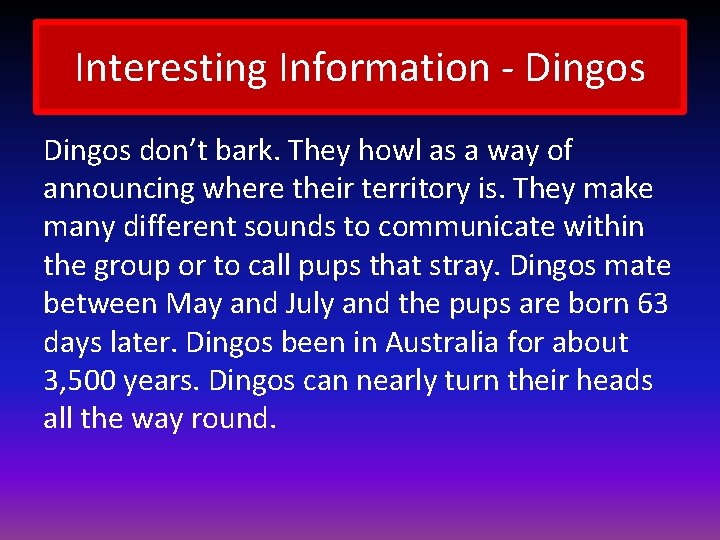 Interesting Information - Dingos don’t bark. They howl as a way of announcing where