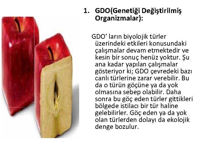 1. GDO(Genetiği Değiştirilmiş Organizmalar): GDO’ ların biyolojik türler üzerindeki etkileri konusundaki çalışmalar devam etmektedir