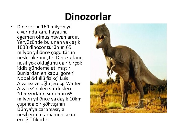 Dinozorlar • Dinozorlar 160 milyon yıl civarında kara hayatına egemen olmuş hayvanlardır. Yeryüzünde bulunan