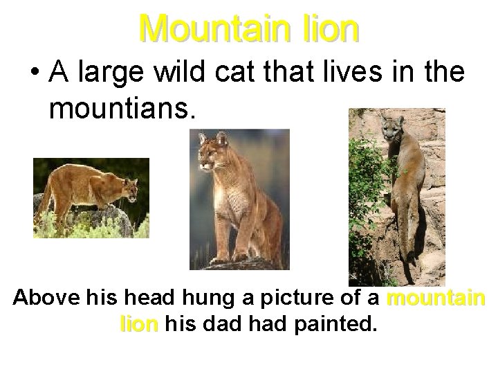 Mountain lion • A large wild cat that lives in the mountians. Above his