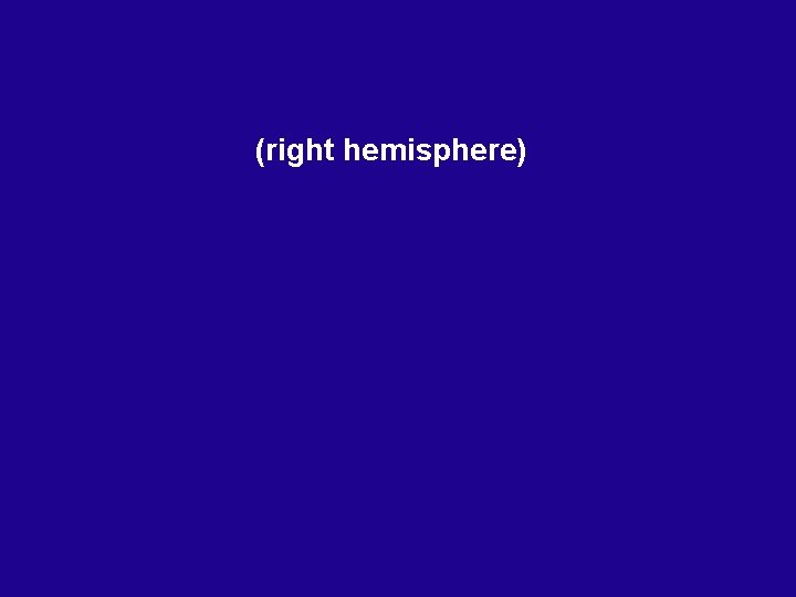 (right hemisphere) 