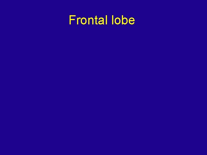 Frontal lobe 