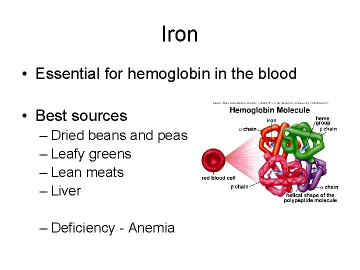 Iron • Essential for hemoglobin in the blood • Best sources – Dried beans