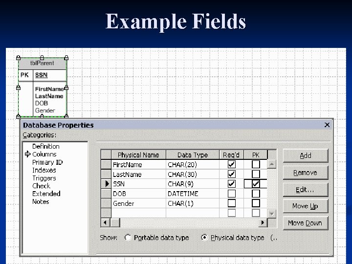Example Fields 