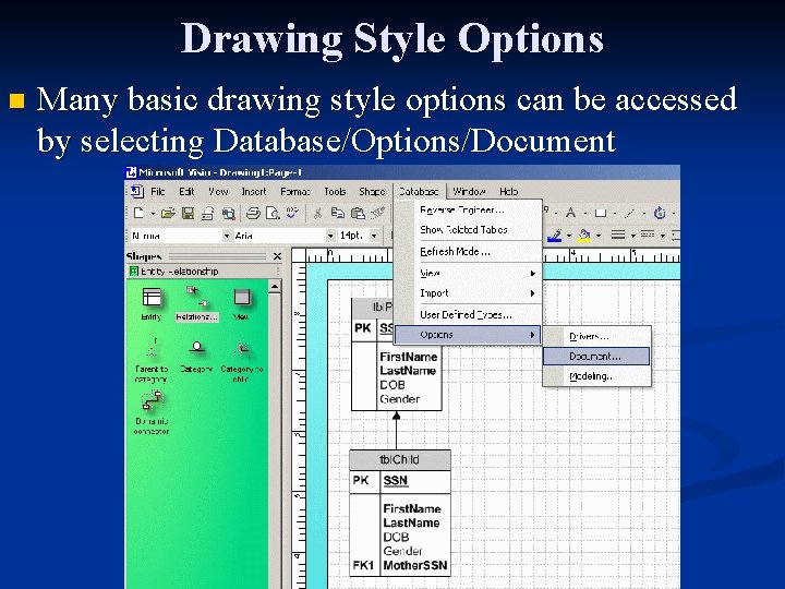 Drawing Style Options n Many basic drawing style options can be accessed by selecting