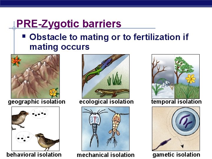 PRE-Zygotic barriers § Obstacle to mating or to fertilization if mating occurs geographic isolation