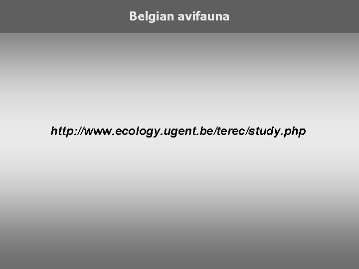 Belgian avifauna http: //www. ecology. ugent. be/terec/study. php 