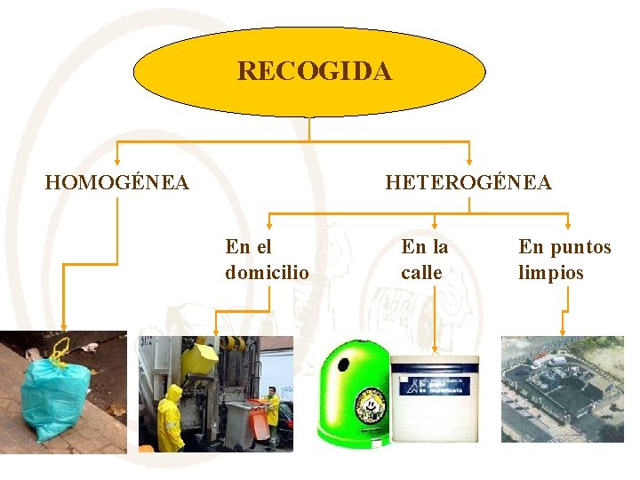 RECOGIDA HOMOGÉNEA HETEROGÉNEA En el domicilio En la calle En puntos limpios 