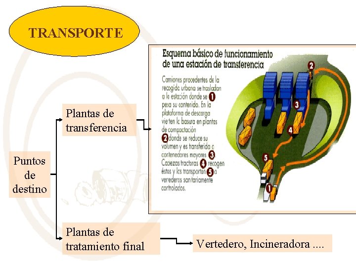 TRANSPORTE Plantas de transferencia Puntos de destino Plantas de tratamiento final Vertedero, Incineradora. .