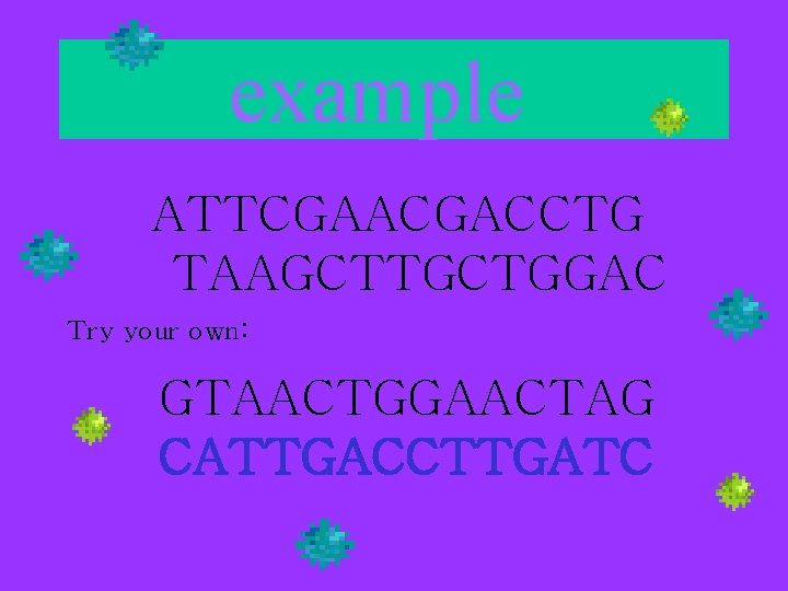 example ATTCGAACGACCTG TAAGCTTGCTGGAC Try your own: GTAACTGGAACTAG CATTGACCTTGATC 
