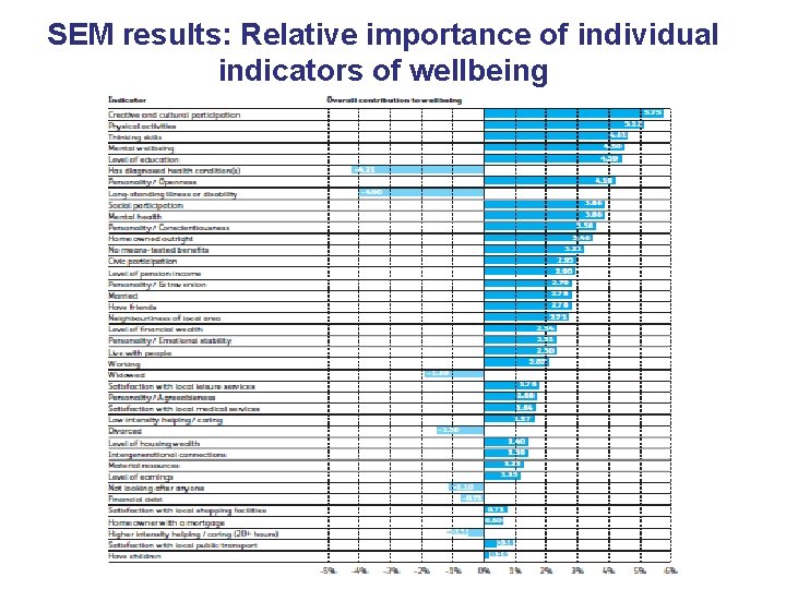 SEM results: Relative importance of individual indicators of wellbeing 