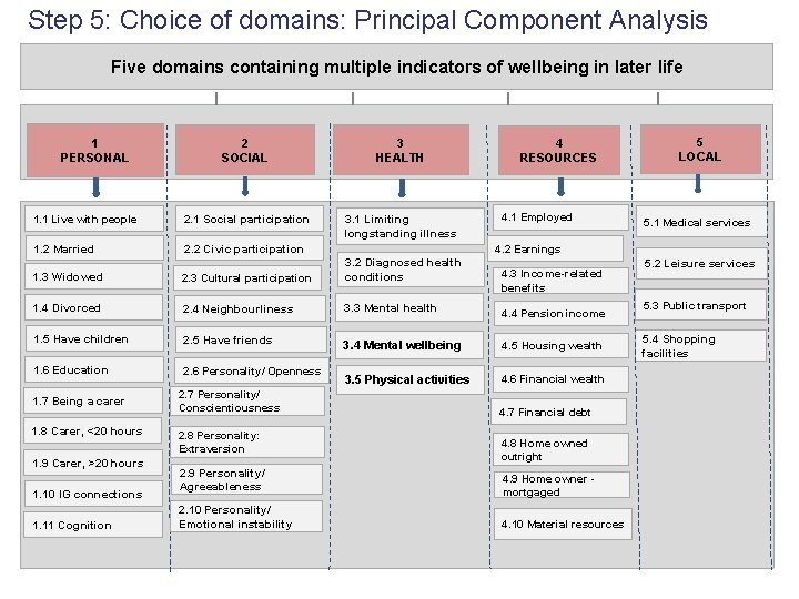 Step 5: Choice of domains: Principal Component Analysis Five domains containing multiple indicators of
