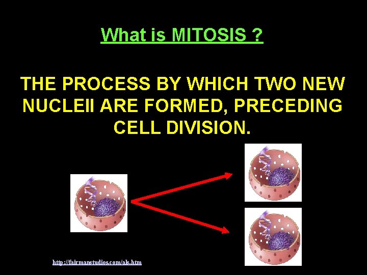 What is MITOSIS ? THE PROCESS BY WHICH TWO NEW NUCLEII ARE FORMED, PRECEDING