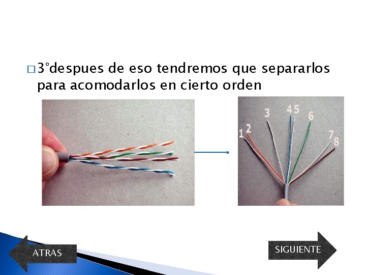 � 3°despues de eso tendremos que separarlos para acomodarlos en cierto orden ATRAS SIGUIENTE